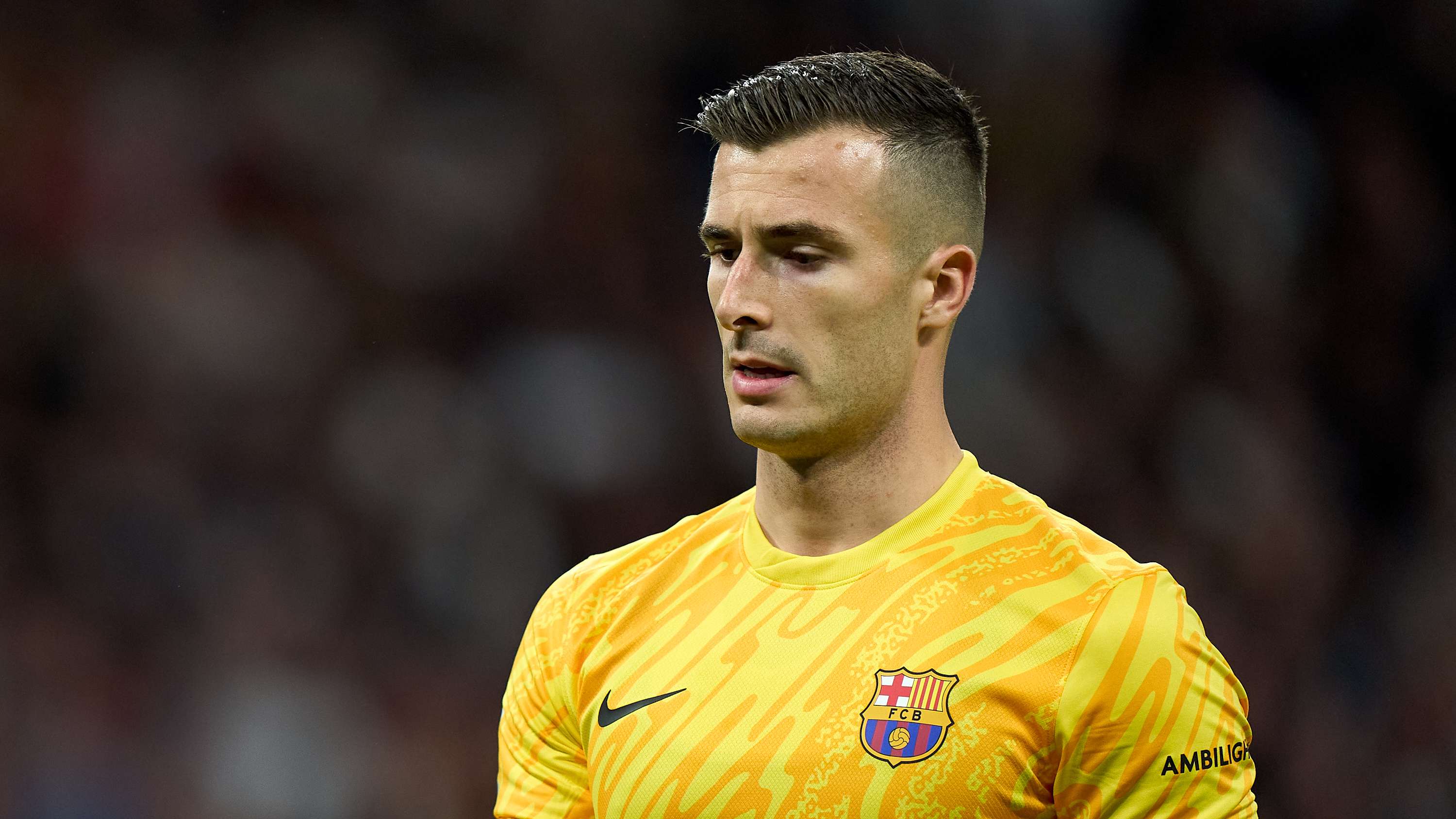 的精心設計 的精心設計