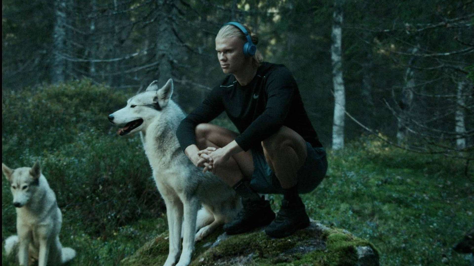 用努力書寫 用努力書寫